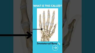 What is this called👈🙌anatomy bones ytshorts youtube [upl. by Hermione328]