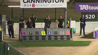 Cannington28042024Race12 [upl. by Yelich235]