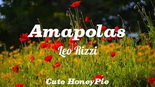 Amapolas  Leo Rizzi Letra [upl. by Nunci204]