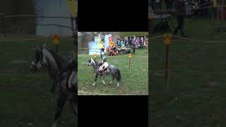 Medieval Jousting Knights medieval history reenactment battle jousting castle knight ridder [upl. by Amles]