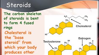 Steroid biochemistry [upl. by Remat]