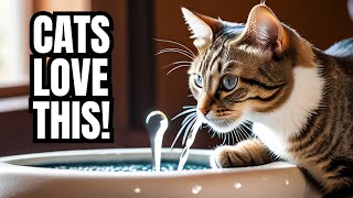 Miaustore Cat Fountain Review Splash Hit or Just a Drip [upl. by Manara]