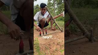 2024 Primitive Wild Boar Hunting How to trap wild boar using a Wood and a sharp stick wildanimal [upl. by Jacquetta]