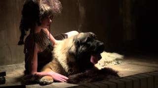 Photoshoot with Leonberger Dog [upl. by Murton356]