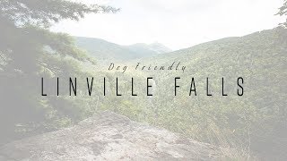 Dog Friendly Linville Falls NC  Hiking With Dogs [upl. by Eycats]