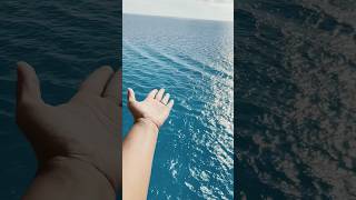 Balcony view from Royal Caribbean cruise⛴️royalcaribbeancruiseshotsoseanshortsfeedshortvideo [upl. by Caty]