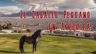 El Caballo Peruano de Paso en Arequipa Perú Parte 1 [upl. by Osterhus433]