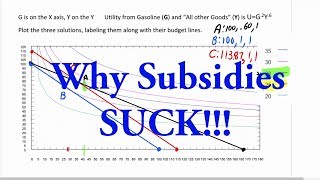 Why Subsidies Suck Using Consumer Theory [upl. by Osbourn]