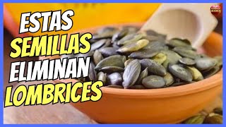 🔴 ¿COMO COMER SEMILLAS DE CALABAZA PARA ELIMINAR LOS PARÁSITOS INTESTINALES 🔴 [upl. by Mines]