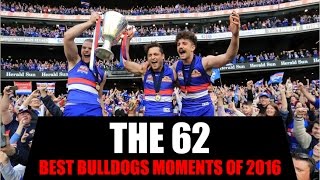 The 62  Best Bulldogs Moments of 2016 [upl. by Twum]