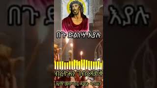 ማርያም ቅዱስእግዚአብሔርቲዩብ teamnomedia [upl. by Mara261]