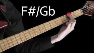 Learn Bass  Learning the notes of the fretboard [upl. by Alig]