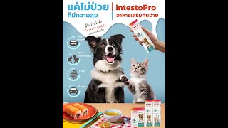 IntestoPro​ beaphar dogs​ cats​ khunnat [upl. by Hawken]