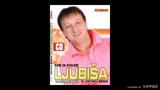 Ljubisa Vasiljevic  Gde ja stadoh ti produzi  Audio 2006 [upl. by Steffie]