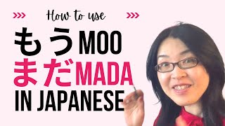 How to use もう moo already and まだ mada yet in Japanese Easy Japanese grammar [upl. by Ahtimat]