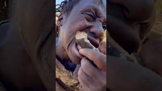 This baboon is so delicioushadzatribe foodnature documentary [upl. by Grand671]