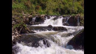 Weekend away in my little caravan  Cenarth in Wales Argoed Meadow campsite and places to visit [upl. by Eedebez]