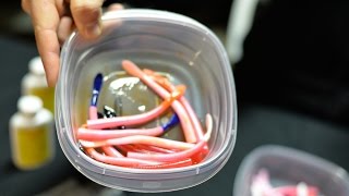 Steelhead Fishing Tips  Preparing Pink Worms For Float Fishing [upl. by Cantu]