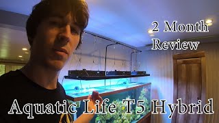 Aquatic Life T5 Hybrid Before and After 2 months review [upl. by Chas]