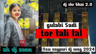 Gulabi Sadi Tor Lali Lal  New Theth Nagpuri Dj Song 2024  Old Nagpuri Dj Dj vkr bhai 20 [upl. by Cully]