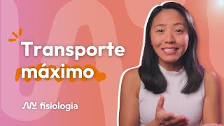 O QUE É TRANSPORTE MÁXIMO  MK Fisiologia [upl. by Yr]