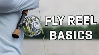 Fly Reels Explained  Basics You Need to Know  Getting Started in Fly Fishing [upl. by Annoved]