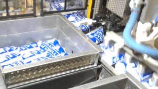 Ice Systems Australia Robotic Ice Pallet Packing Station [upl. by Annaitsirk280]