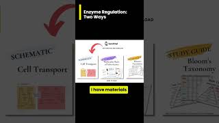 Enzyme Regulation Feedback Inhibition vs Gene Regulation [upl. by Airtemad]