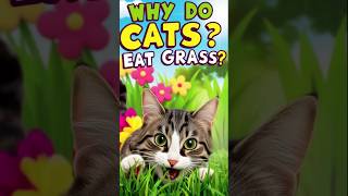 Understanding Why Cats Eat Grass and Its Safety shorts CatCare CatsOfYouTube PetHealth [upl. by Eddana61]