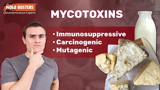 What Are Mycotoxins 🦠☣ 😷 [upl. by Narrat]