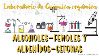 Laboratorio de Química Orgánica Alcoholes fenoles aldehídos y cetonas [upl. by Mcintyre618]