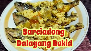 Sarciadong Dalagang Bukid [upl. by Nylodnew]