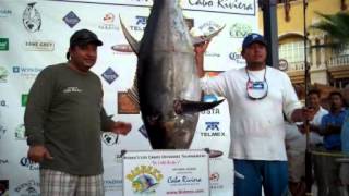 CatchStat  2012 Bisbees Los Cabos Offshore Tournament Fish 14371 [upl. by Wester]