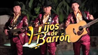 Los Hijos de Barrón Megamix [upl. by Ama798]