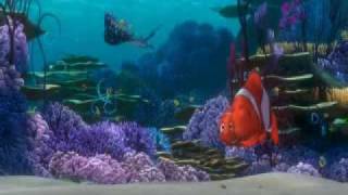 Alla ricerca di Nemo  Abbracciowmv [upl. by Trotter744]