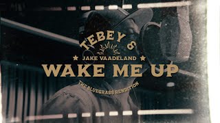 Tebey amp Jake Vaadeland Wake Me Up  The Bluegrass Rendition Official Video [upl. by Novj]