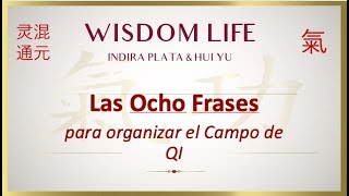 Ocho Versos para Organizar el Campo de Qi [upl. by Ardnosak]