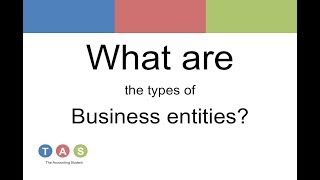 What are the types of Business entities [upl. by Dnob]