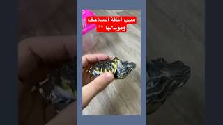 أحداث  سبب إعاقة و موت السلاحف 💔🐢  اكسبلور ترند سلاحف سلحفاة حيوانات ستيكر اكل 2024 [upl. by Hanako]