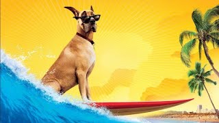 Marmaduke Full Movie HD Facts And Story  Owen Wilson  Lee Pace [upl. by Gerda]