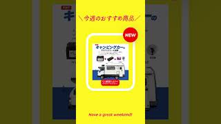 【キャンピングカー】サブバッテリーに最適！長寿命安全 リン酸鉄リチウムイオンバッテリー 128V 100Ah 株式会社プラタ 便利グッズ キャンプ キャンピングカー アウトドア [upl. by Ahtennek129]