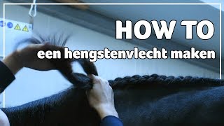 HOW TO een hengstenvlecht maken  53  Epplejeck [upl. by Deppy]