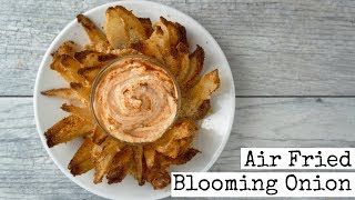 Air Fried Blooming onion  Avalon Bay 230B [upl. by Eecyac]