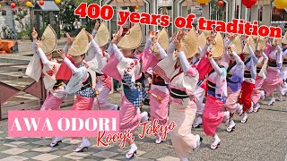 Awa Odori in Tokyo 400 Years of Japans Most Colorful Festival [upl. by Anilem596]