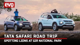 Tata Safari Road Trip 1  Reclaim Your Life  Spotting Lions at Gir National Park  2022  evo India [upl. by Sylado]