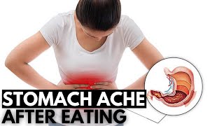 Digestive Drama The Science Behind Stomach Aches After Eating [upl. by Arayc531]