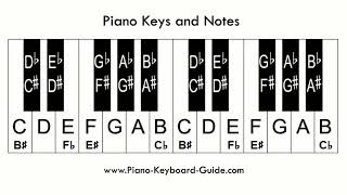 EP6 Accidentals  FLATS  SHARPS  NATURALS IN MUSIC LESSON BY SIR MARTINS movie musicalnotes [upl. by Honeywell]