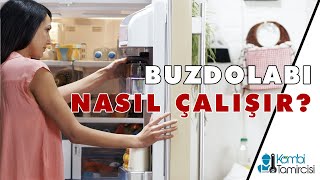 Buzdolabı Nasıl Çalışır [upl. by Barny]