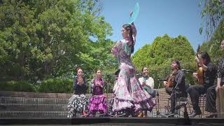 Flamenco Guajira by ESTUDIO ESENCIA at Kyoto Spanish Cooking Festival 2024 in Kokoka [upl. by Dylan720]