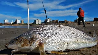 LA PESCA DE ESTAS BELLEZAS COMENZO CON LA BAJAMAR Y EN CANTIDAD [upl. by Goldshlag]